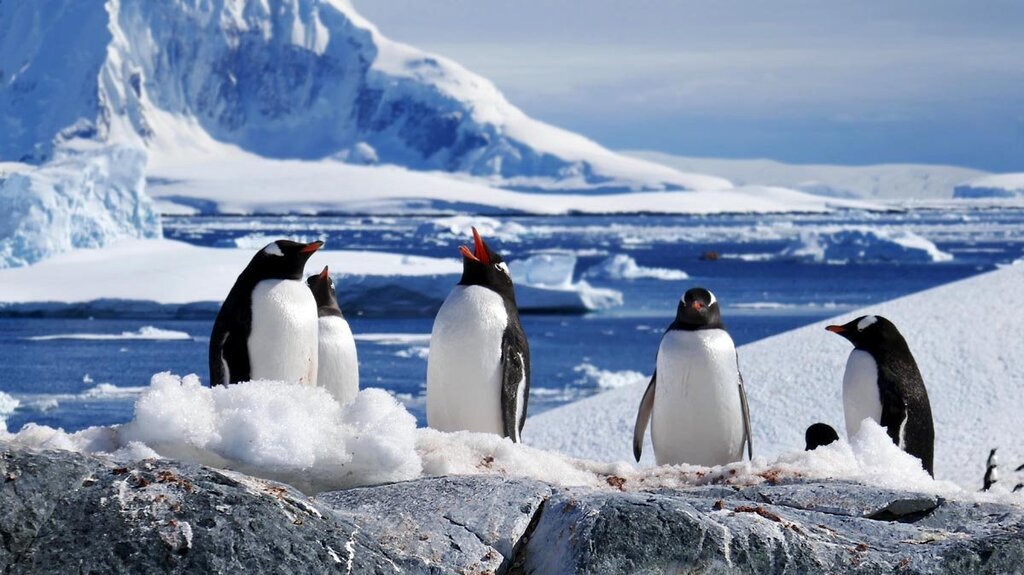 В Антарктиде тают ледники