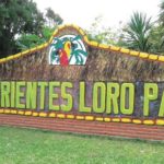 Парк Лоро Корриентес: Центр сохранения экзотических птиц
